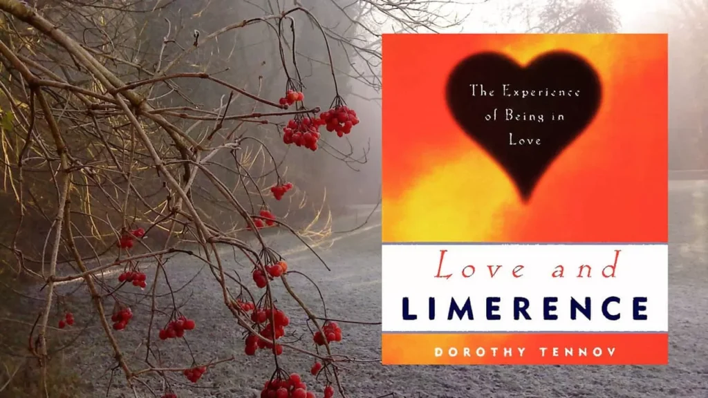 summary of love and limerence