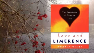 Love and Limerence by Dorothy Tennov: Chapter Summaries