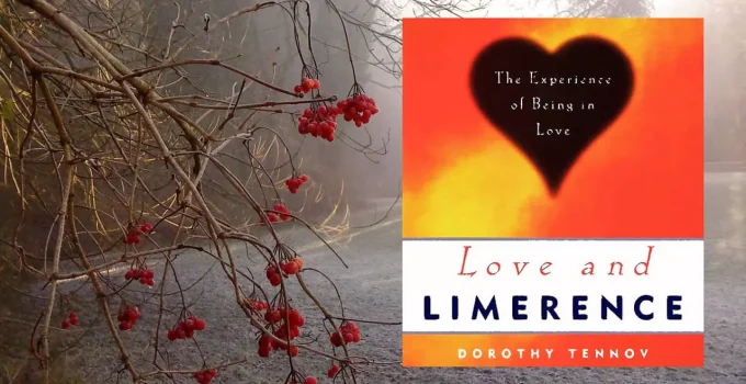 Love and Limerence by Dorothy Tennov: Chapter Summaries