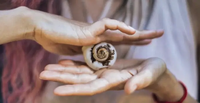 Arteterapia Meditativa: Arte y Atención Plena en Salud Mental