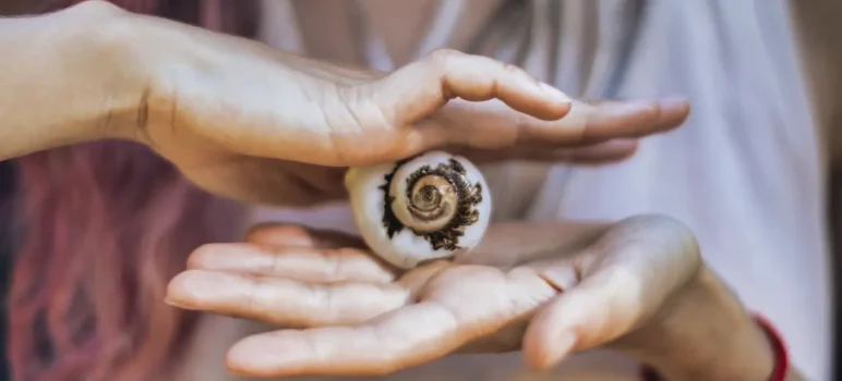 Arteterapia-Meditativa