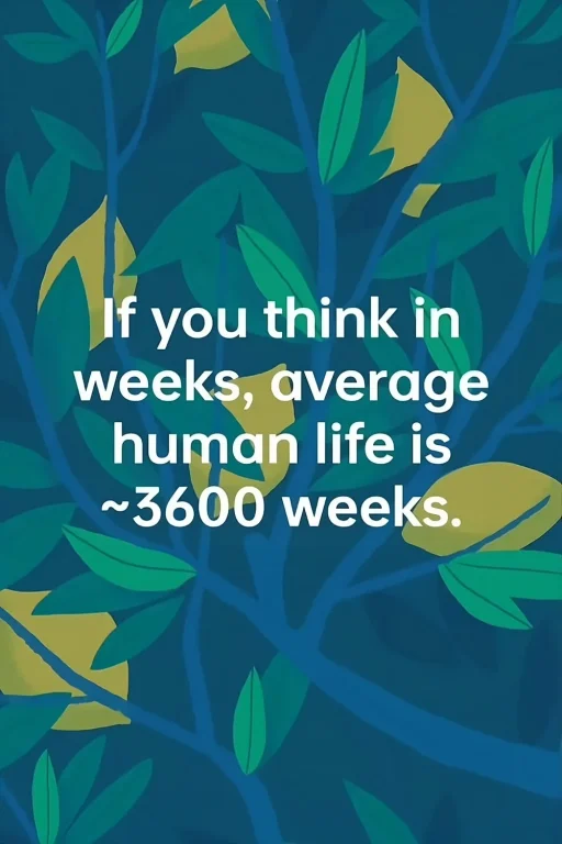 whole life is 3600 weeks