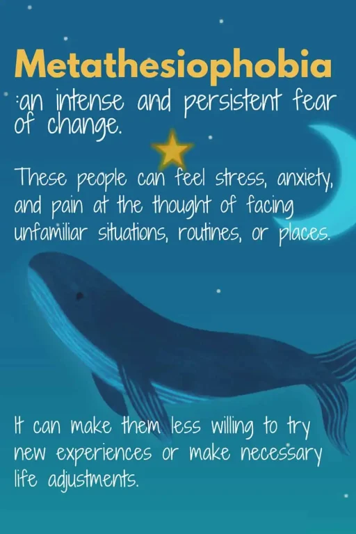 Metathesiophobia Fear of Change - Pin