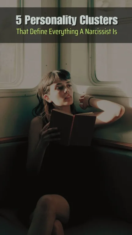 5 Trait Clusters of Narcissism Pin