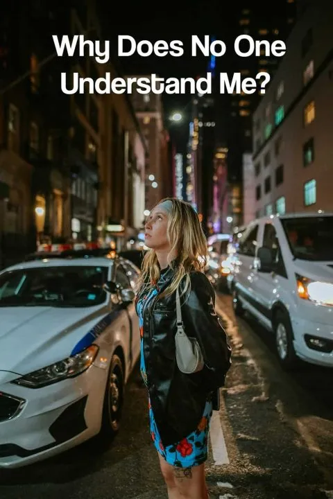 Why Does No One Understand Me-Pin2