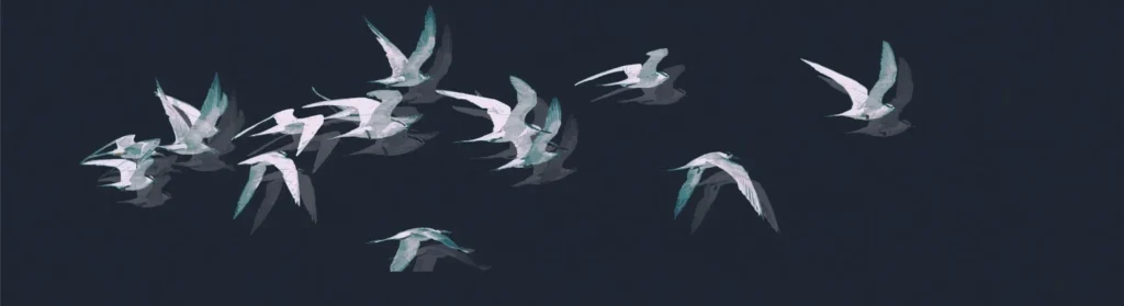 birds on a dark evening sky