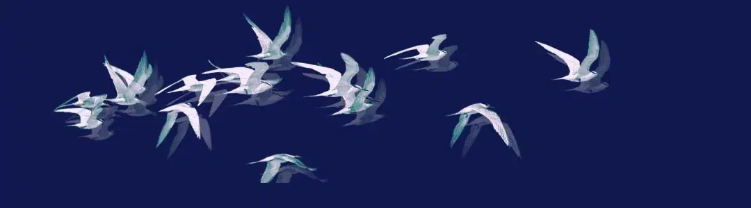 Happiness Archives 1 birds on a dark evening sky