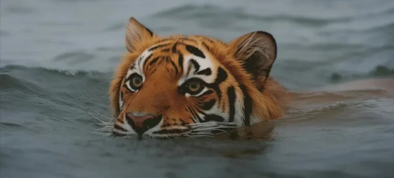 why is self forgiveness hard